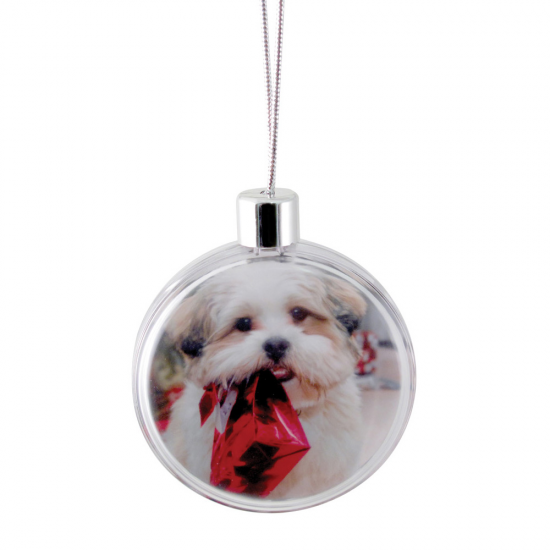 Round Ornament - Clear Round Ornament - Clear